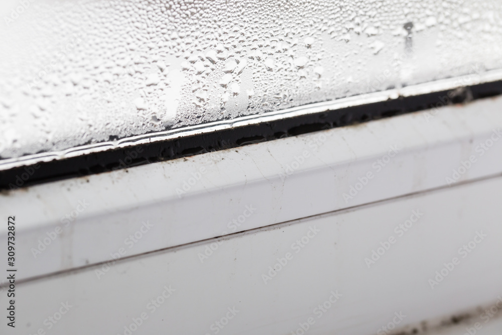mold on a foggy plastic window of white color. Close-up mold on a foggy plastic window of white color. Close-up