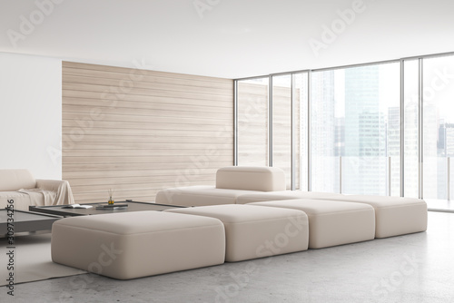 White and wood loft living room interior