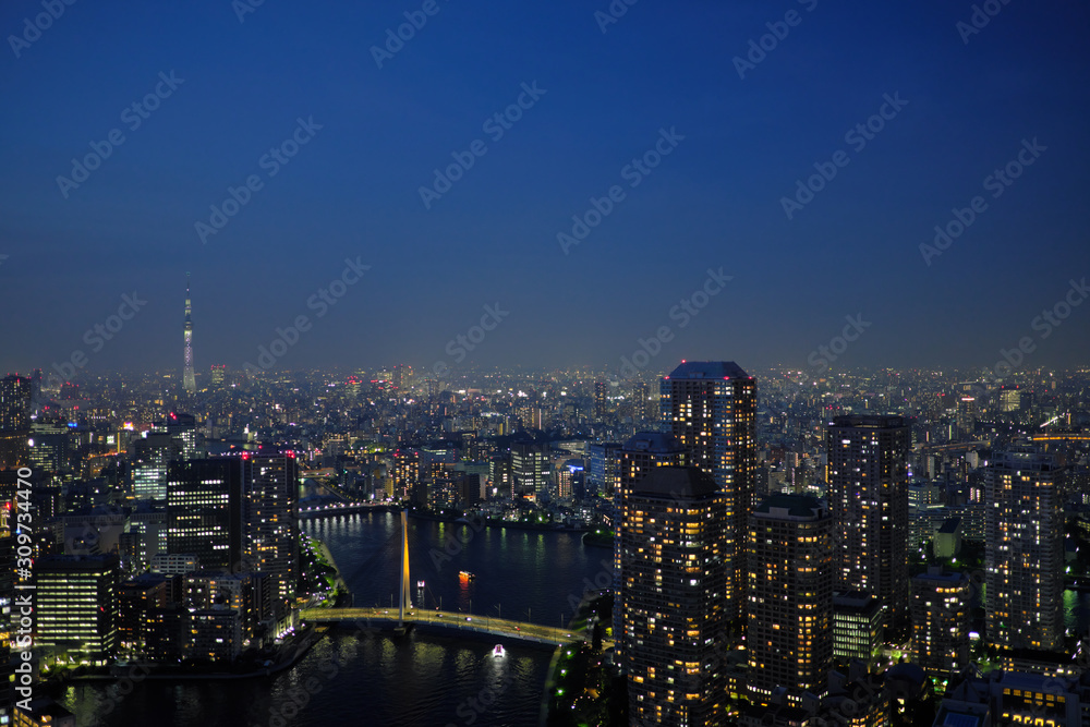 東京の隅田川俯瞰夜景