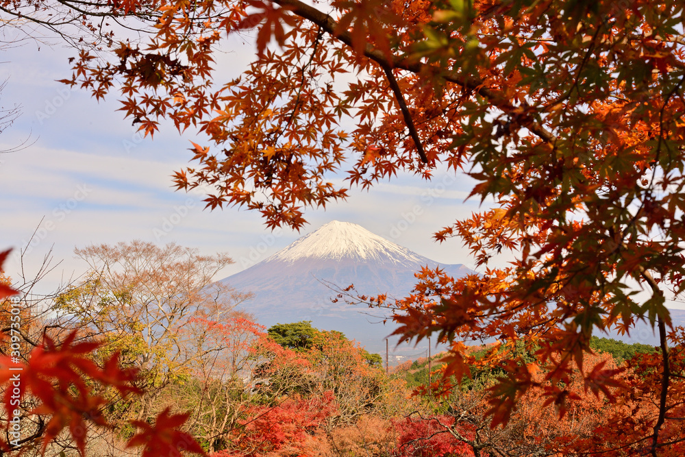 In autumn, hiking is probably the most rewarding way to see the beautiful nature areas of Japan. 