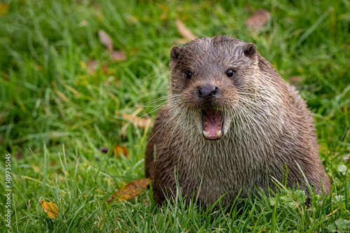 # suprised face 😯