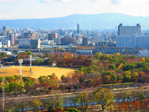 大阪城天守閣からの風景