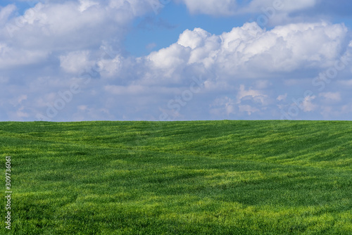 Green big meadow with flowers in Pura Nature Reserve in the Shikma River Basin with blue cloudy sky Landscape of Israel photo