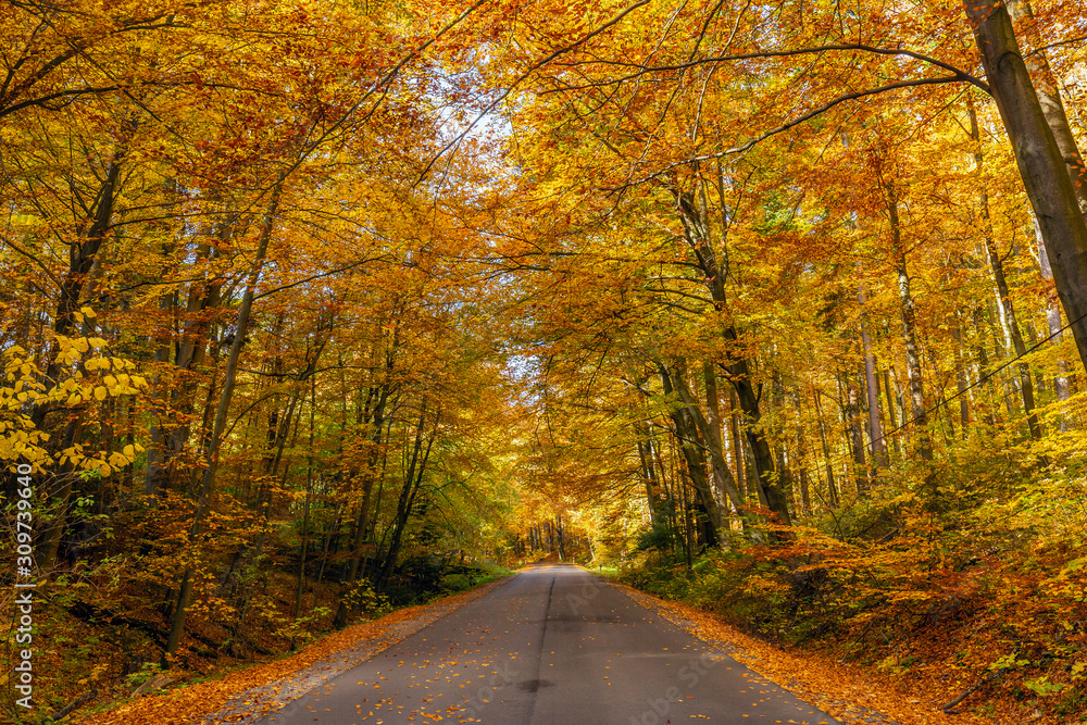 Obraz premium Poland main attractions