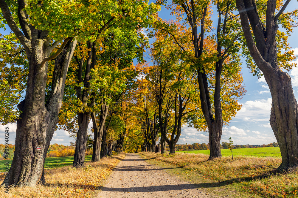 Poland main attractions