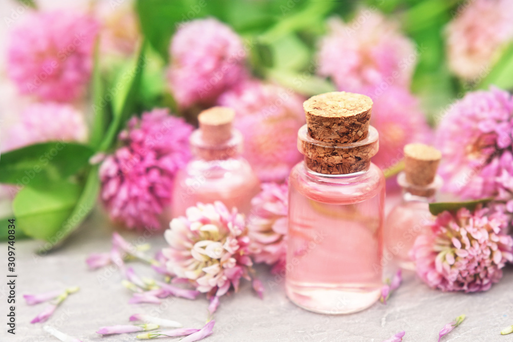 Essential oil bottles on medicinal clover flowers and herbs background, selective focus, toned Essential oil bottles on medicinal clover flowers and herbs background, selective focus, toned