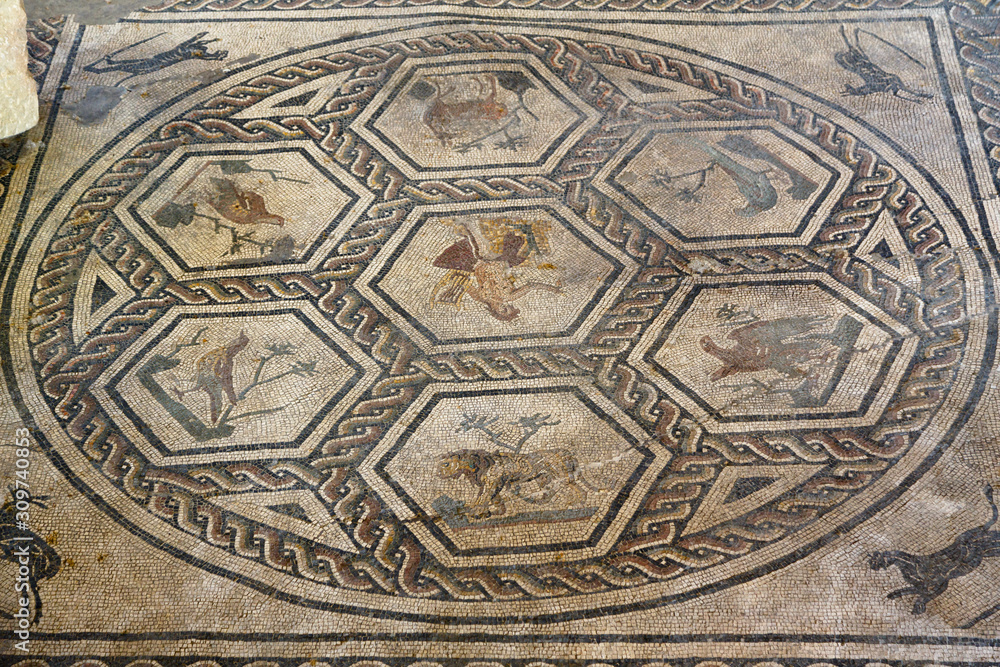 Floor mosaic in Roman ruins, modern Rimini, Italy