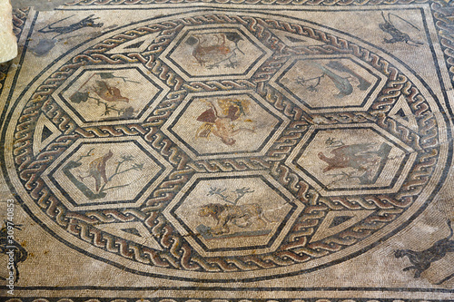 Floor mosaic in Roman ruins, modern Rimini, Italy