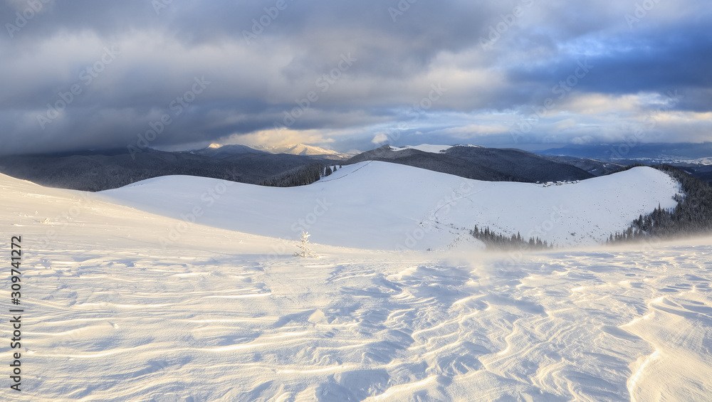Cold winter morning. From the lawn, a panoramic view of the covered with frost trees in the snowdrifts, high mountain with snow white peaks. Location place Carpathian, Ukraine, Europe.
