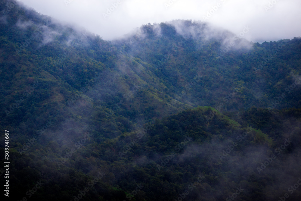 Blurred background of a mountain road view, from a car windscreen that runs with care, with natural scenery surrounded by plants, large trees