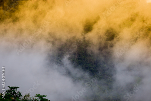 Blurred background of a mountain road view, from a car windscreen that runs with care, with natural scenery surrounded by plants, large trees