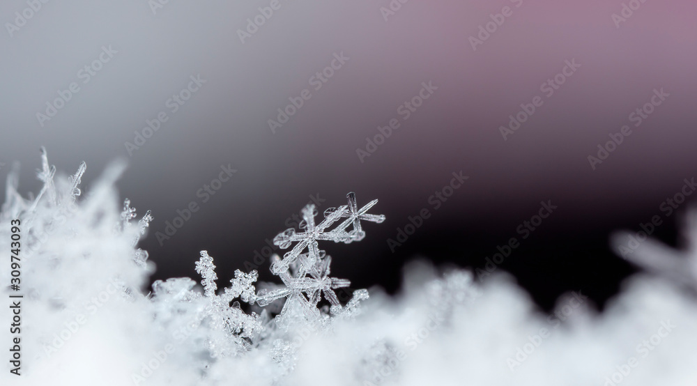 photo real snowflakes during a snowfall, under natural conditions at low temperature photo real snowflakes during a snowfall, under natural conditions at low temperature