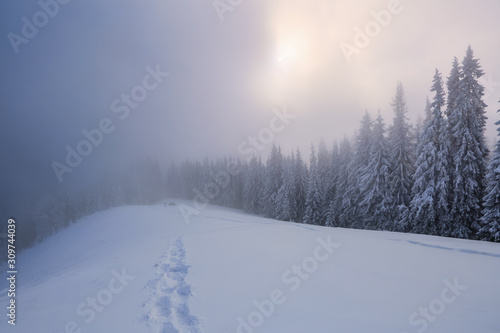 Majestic winter scenery. Mystery forest. On the lawn covered with snow there is a trodden path leading to the trees in the snowdrifts and tent. Location place Carpathian, Ukraine, Europe. © Vitalii_Mamchuk