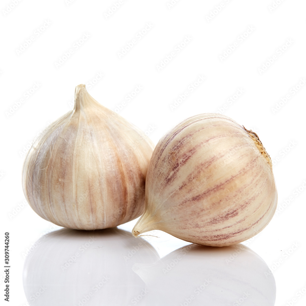 Obraz premium Elephant Garlic (Allium ampeloprasum), garlic variety