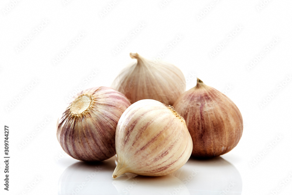 Obraz premium Elephant Garlic (Allium ampeloprasum), garlic variety