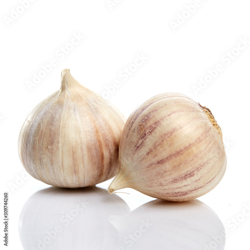 Elephant Garlic (Allium ampeloprasum), garlic variety