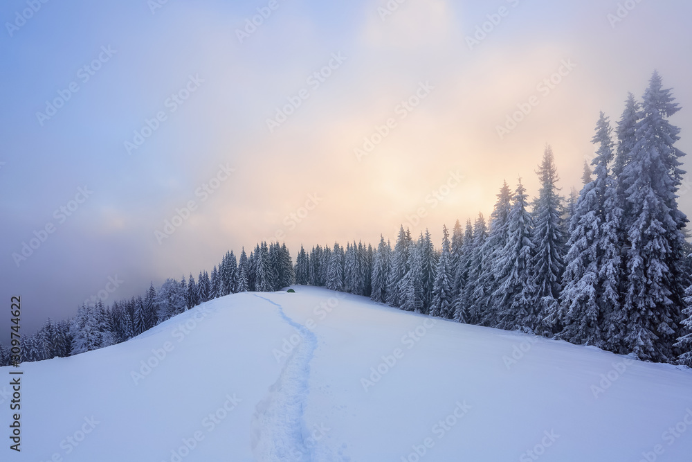 Majestic winter scenery. Mystery forest. Beautiful sunrise. Sun rays lighten up the sky with cloud orange color. Wallpaper background. Location place Carpathian, Ukraine, Europe.