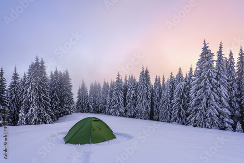 Majestic winter scenery. Fantastic sunrise. On the lawn covered with snow the nice trees are standing poured with snowflakes in frosty day. Snowy forest. Wallpaper background.