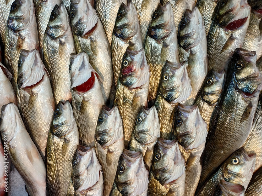 Fototapeta premium fresh fish on the market counter at Ksadasi, Turkey