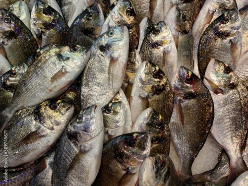 fresh fish on the market counter at Ksadasi, Turkey photo