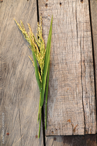 Fototapeta Naklejka Na Ścianę i Meble -  Top view of rice plant on natural wood table. Simple flame of organic, healthy, beauty, and agriculture lifestyle.