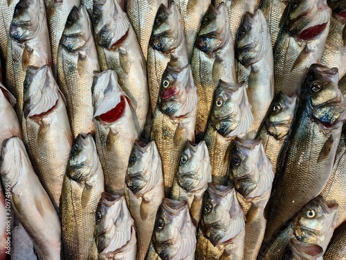 fresh fish on the market counter at Ksadasi, Turkey photo