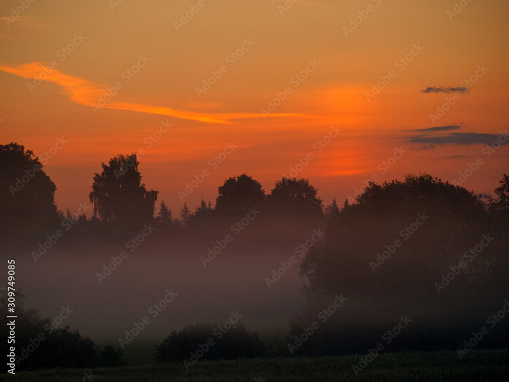 colorful sunset landscape with dark tree silhouettes colorful sunset landscape with dark tree silhouettes