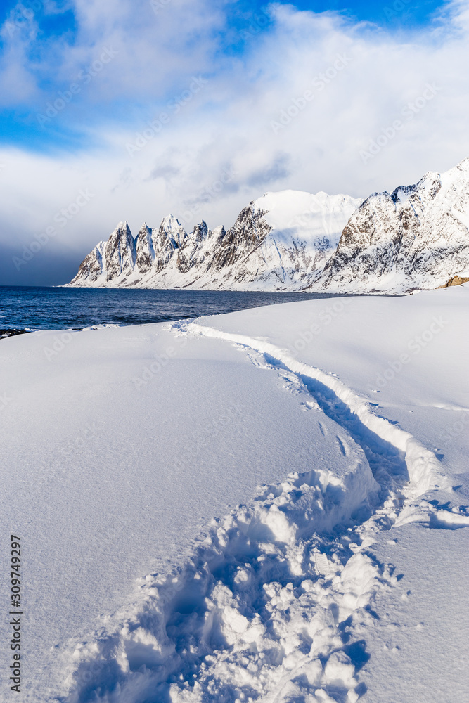 Snowy winter landscape of Lofoten Islands in Norway, scenery of island Senja - snow capped beach against of dramatic blue cloudy sky and jagged mountain ridge. Traditional Arctic Scandinavian view.