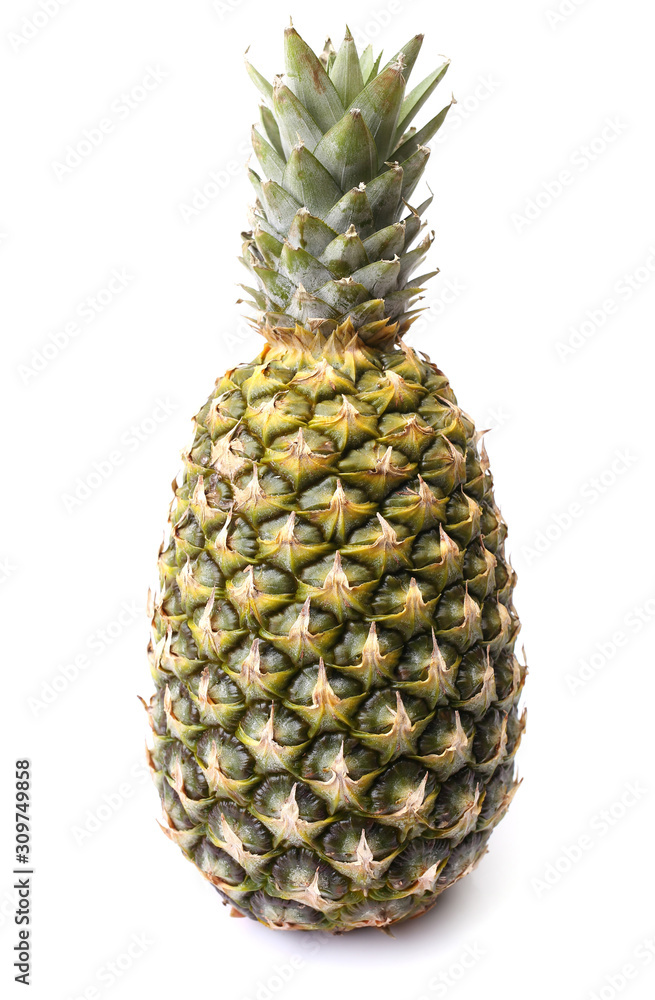 Pineapple fruit on a white background Pineapple fruit on a white background