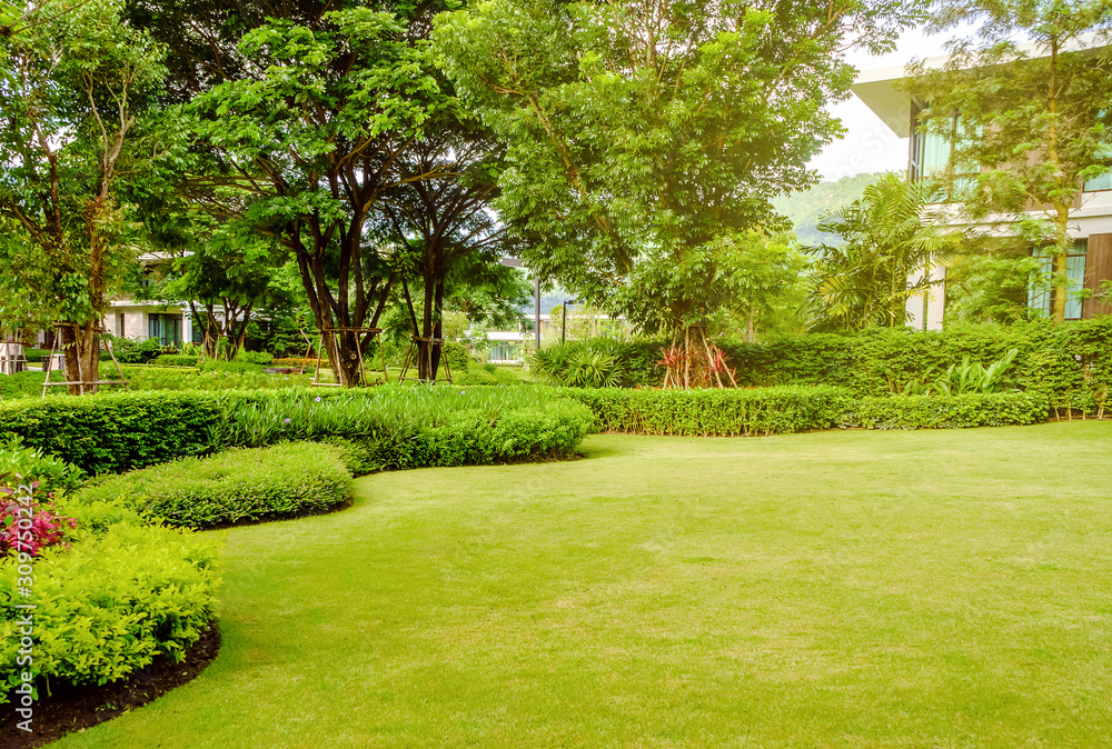 House in the park, Green lawn, front yard is beautifully designed garden,  Flowers in the garden, Green grass, Modern house with beautiful landscaped  front yard, Lawn and garden blur background. Stock Photo |