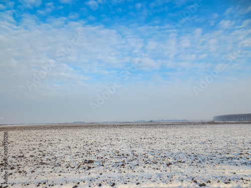 field and blue sky at winter
