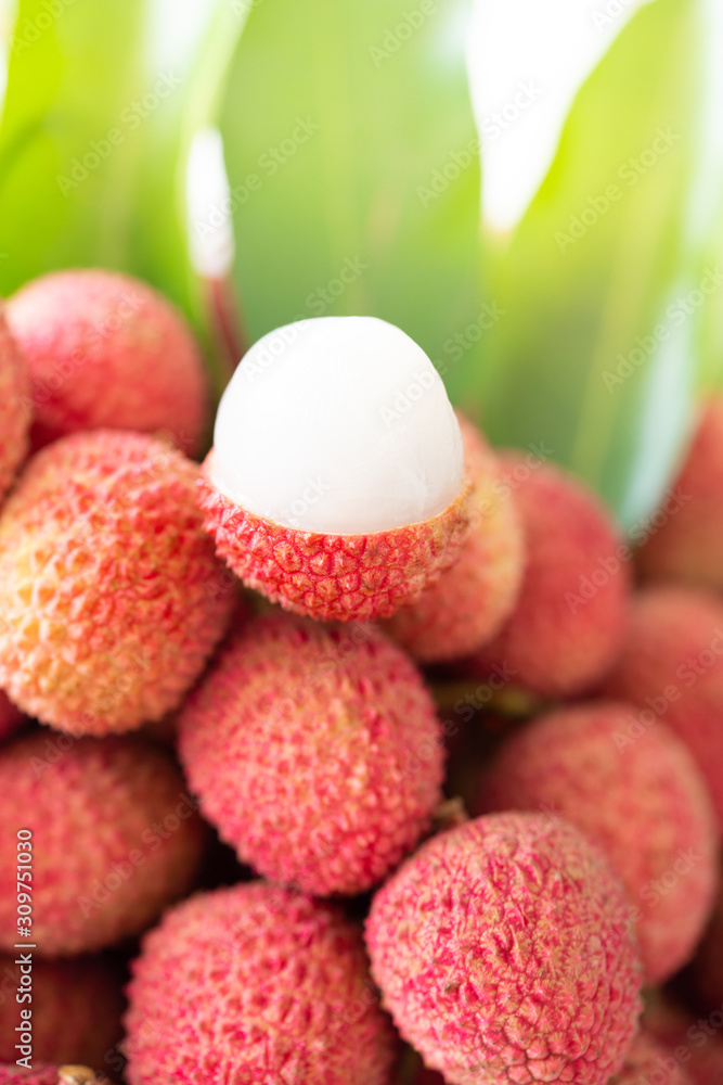Tropical fruits in Thailand :Woman hand holding Fresh lychee and peeled showing the red skin and white flesh with green leaf on white background.Lychee in Thailand Export around the world. Tropical fruits in Thailand :Woman hand holding Fresh lychee and peeled showing the red skin and white flesh with green leaf on white background.Lychee in Thailand Export around the world.