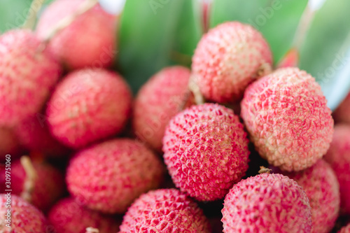 Tropical fruits in Thailand :Woman hand holding Fresh lychee and peeled showing the red skin and white flesh with green leaf on white background.Lychee in Thailand Export around the world.