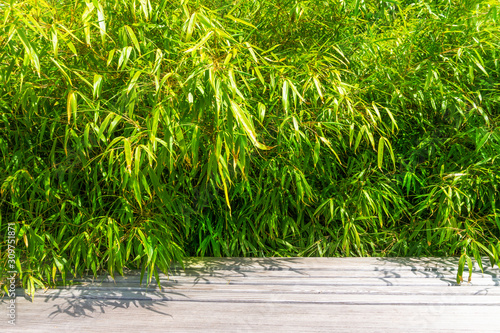 üppiger bambus und holztisch draußen im garten für produktpräsentation © winyu