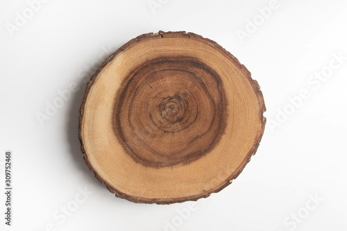 Cross section of tree stump on white table flat lay top view. Wooden cut section.
