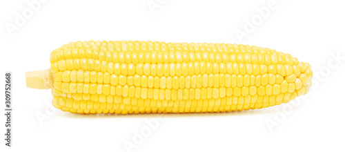 sweet corn isolated on white background with clipping path