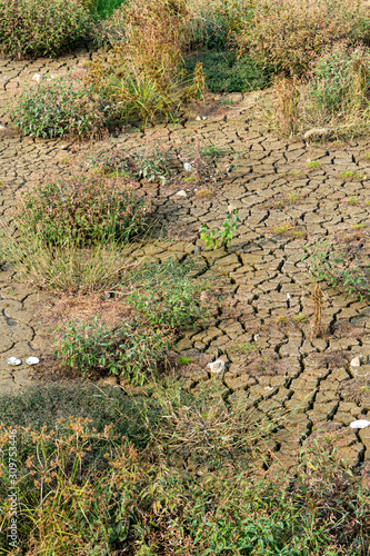 Land with dry and cracked ground. Desert Global warming background