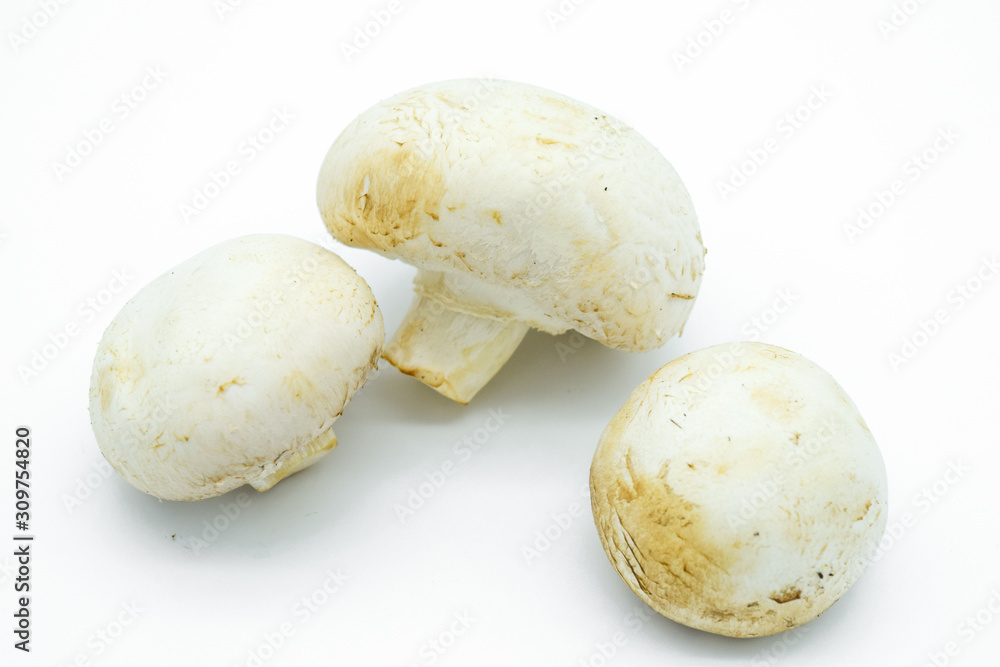 Champignon fresh uncooked mushrooms isolated on white background
