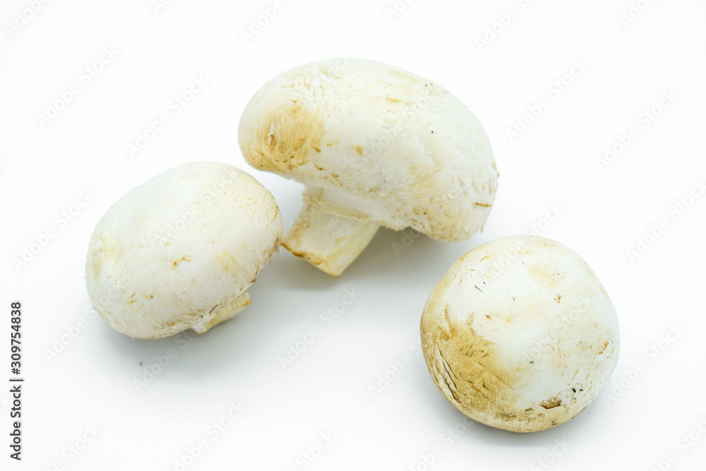 Champignon mushrooms isolated on white background