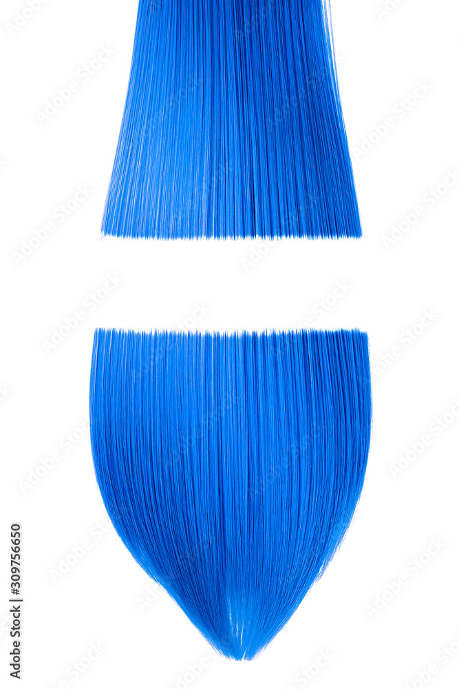 Two half of cuted blue hair, isolated on white background. Space for text Two half of cuted blue hair, isolated on white background. Space for text