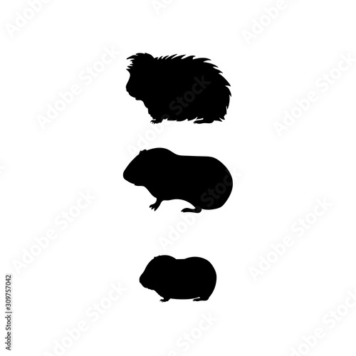 Guinea pig family. Silhouettes of pet animals