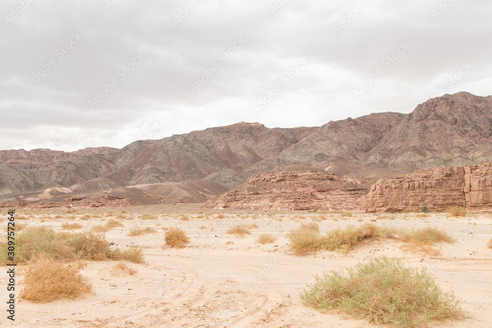 Desert, red mountains, rocks and cloudy sky. Egypt, the Sinai Peninsula. Desert, red mountains, rocks and cloudy sky. Egypt, the Sinai Peninsula.