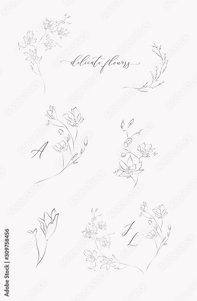 Collection of delicate line drawing vector floral wreaths frames. hand drawn delicate flowers, branches, leaves, blossom. Botanical illustration. Leaf logo