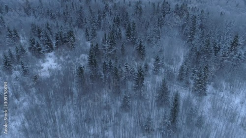 Snow covered winter forest aerial view photo