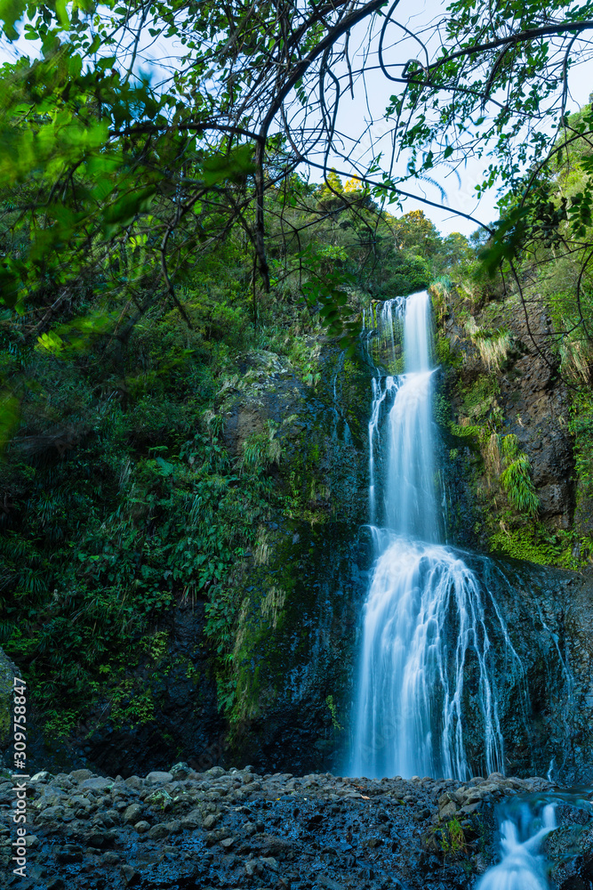 ニュージーランド　オークランド近郊のピハのキテキテ滝