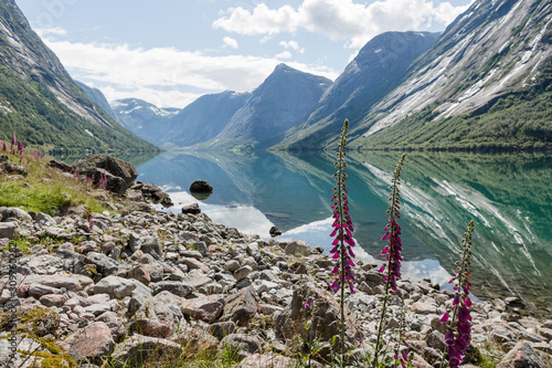 Sommer am Jolstravatnet, Norwegen photo