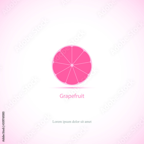 Vector grapefruit isolated on pink background