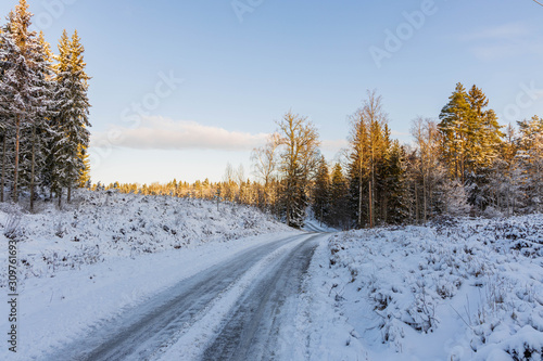 Gorgeous view of winter nature landscape. Country road in snow forest. Beautiful winter background. © Alex