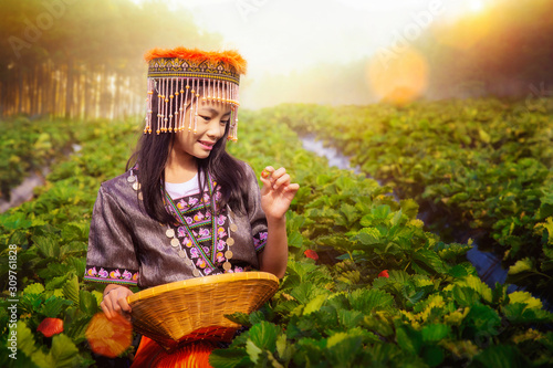 Quadro em tela Thai girl in traditional dress of chiang mai working in strawberry farm