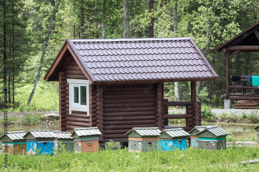 Wooden houses for breeding bees in apiary in mountains. Wooden houses for breeding bees in apiary in mountains.